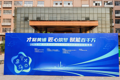 ������ȼ��2024����ݿ����� ��������ʮ����ְҵ�����������Ƚ�����